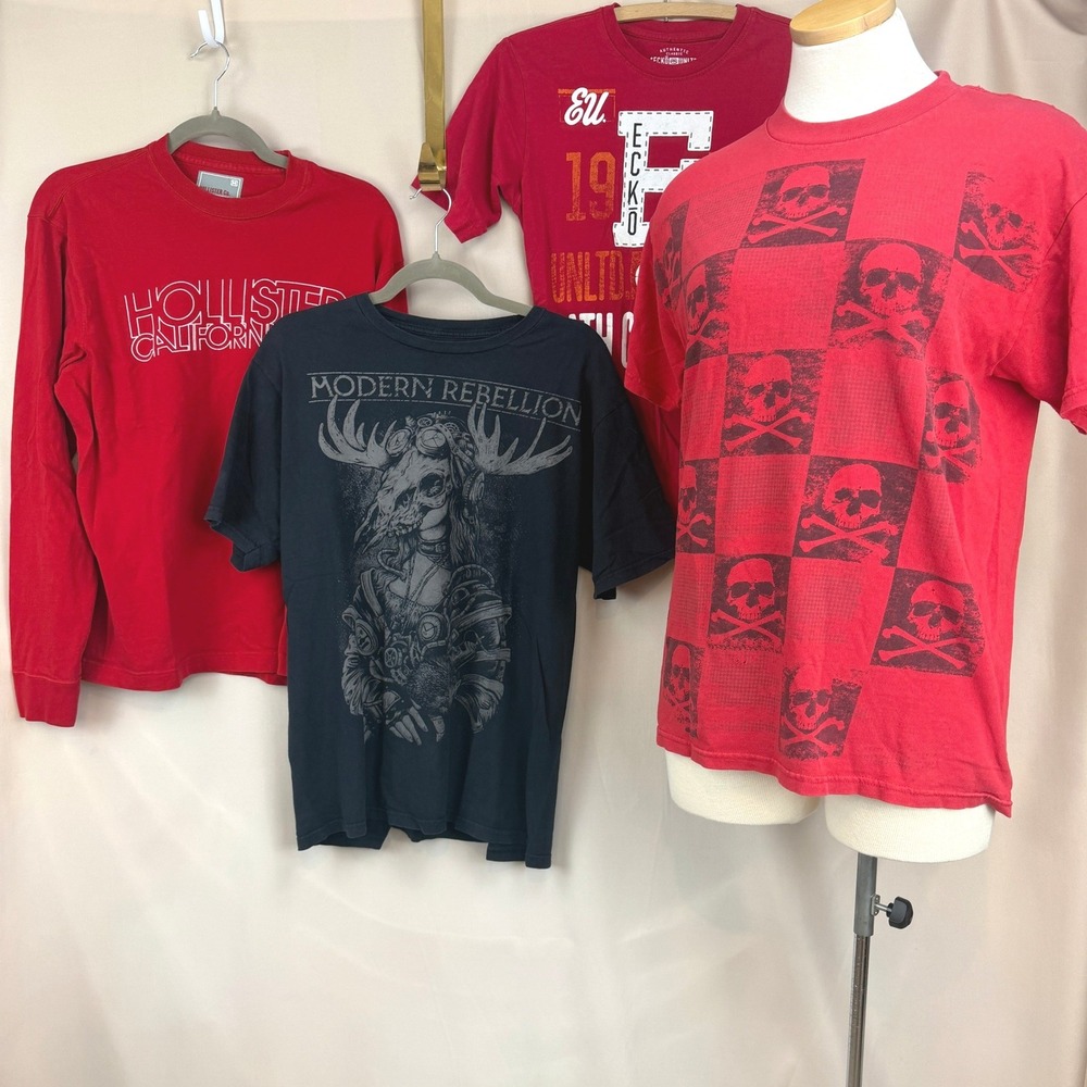 T-Shirt Lot (4) Echo Hollister Skull Y2K Skate Punk Streetwear Bundle Reseller